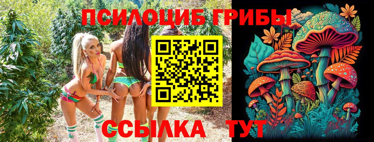 Псилоцибиновые грибы Magic Shrooms  где продают наркотики  Артём 