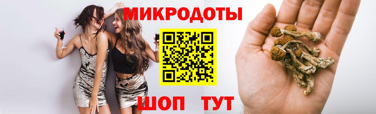 Псилоцибиновые грибы Psilocybe Артём